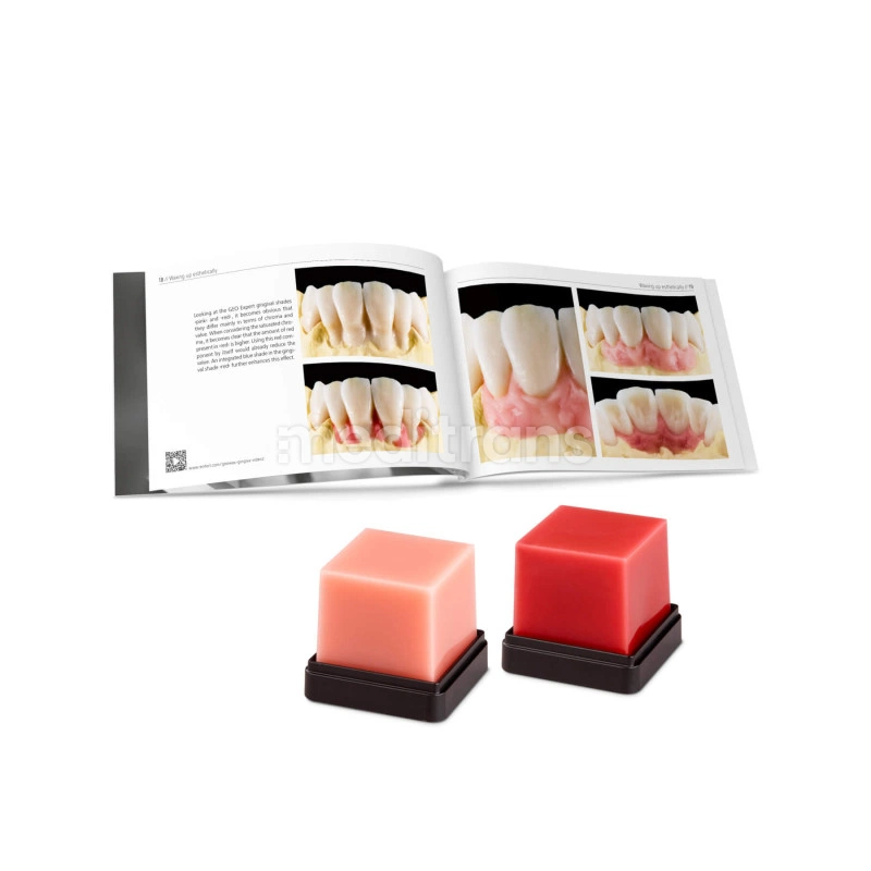 GEO Expert Gingiva Renfert