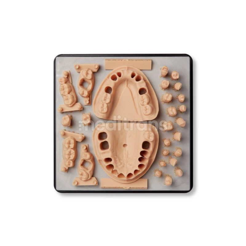 Formlabs Form Żywica do drukarki 3D Dental Model V2 1l