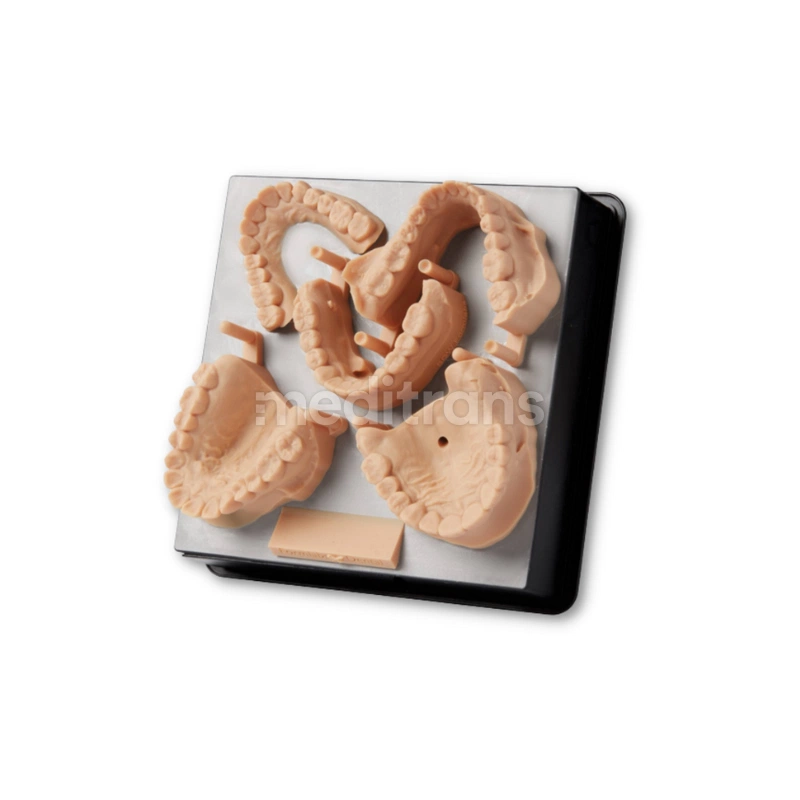 Formlabs Form Żywica do drukarki 3D Dental Model V2 1l