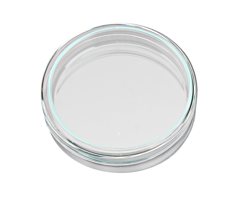 Чашка Петри