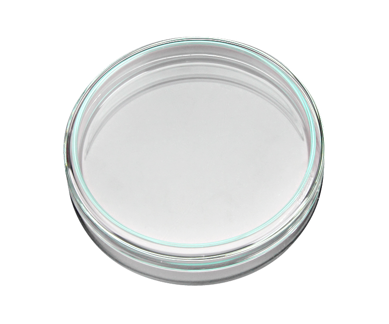 Чашка Петри